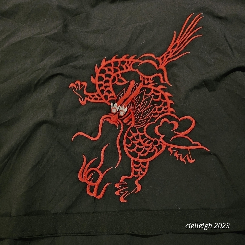 💥4 for $25💥 Dragon Embroidered Robe - Picture 4 of 7